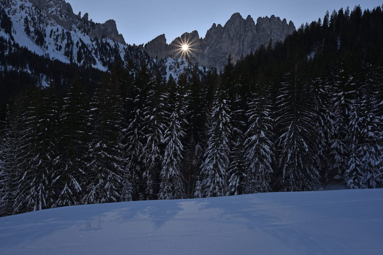 Soleil dans la forêt givrée